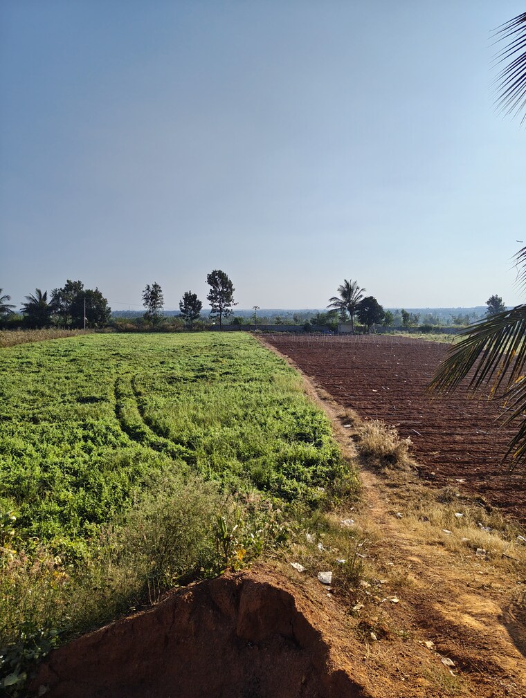 undefined, devanahalli  1500 Sq.Yd. Plot In Devanahalli Bangalore 9653107