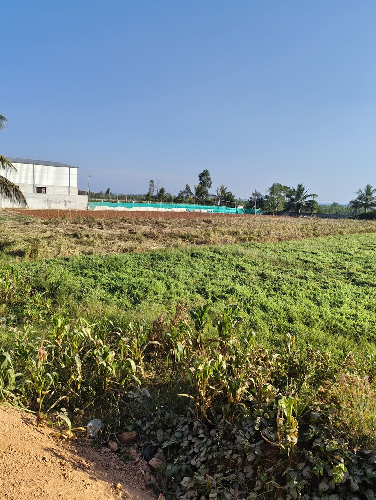 undefined, devanahalli  1500 Sq.Yd. Plot In Devanahalli Bangalore 9653107