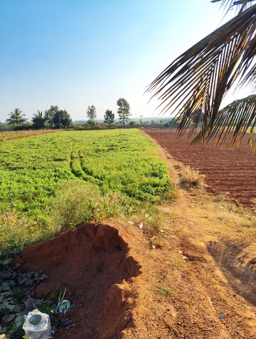 Plot Area in  Plot at Devanahalli – for Sale