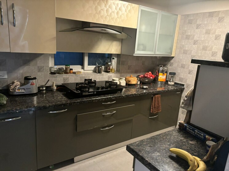 Kitchen, orchid-petals 3 Bedroom 1805 Sq.Ft. Apartment In Sector 49 Gurgaon 9653237