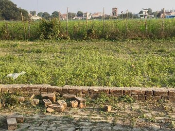 Plot Area in  Plot at Kamta – for Sale