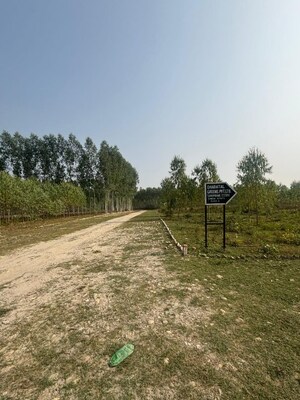  Plot For Sale in Behat Road