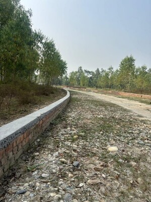 Plot Area in  Plot at Behat Road – for Sale