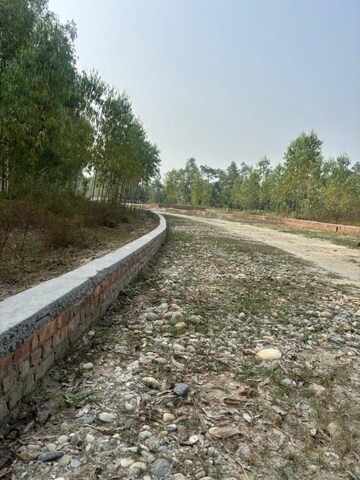 Plot Area in  Plot at Behat Road – for Sale