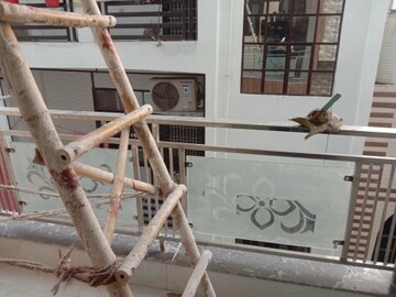 Staircase in 2 BHK Builder Floor at Dwarka Mor – for Sale