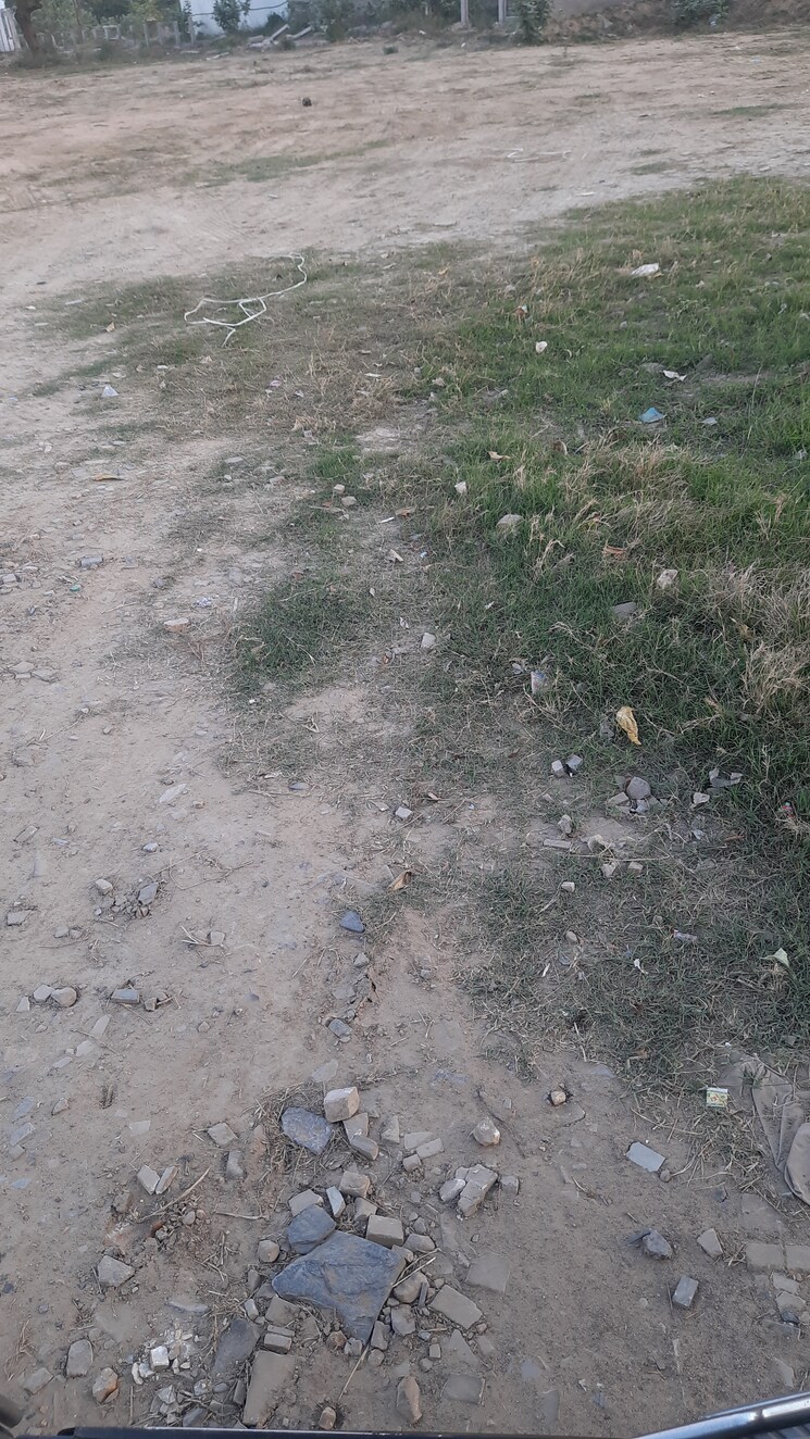 undefined, science city Commercial Land 14000 Sq.Yd. In Science City Ahmedabad 9653777