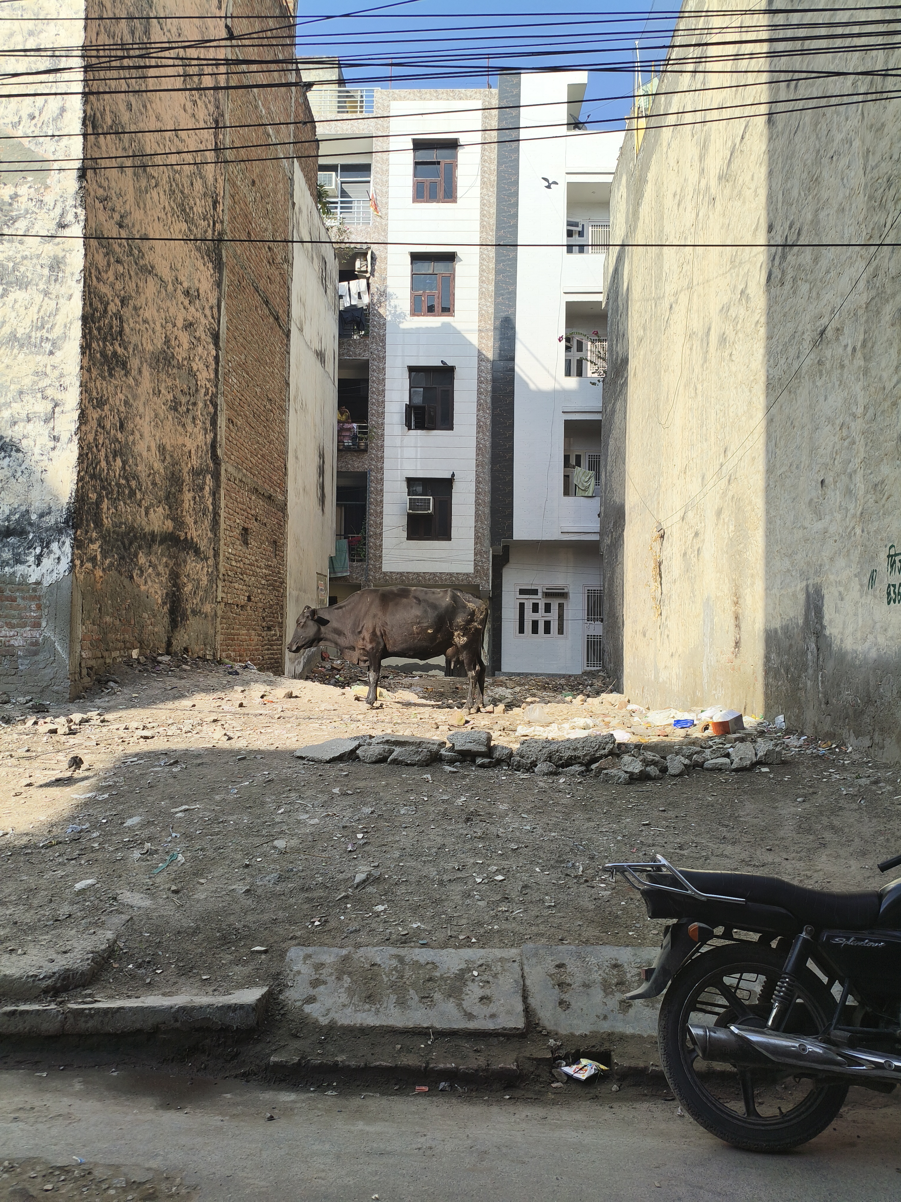 Plot For Sale in Mohan Garden