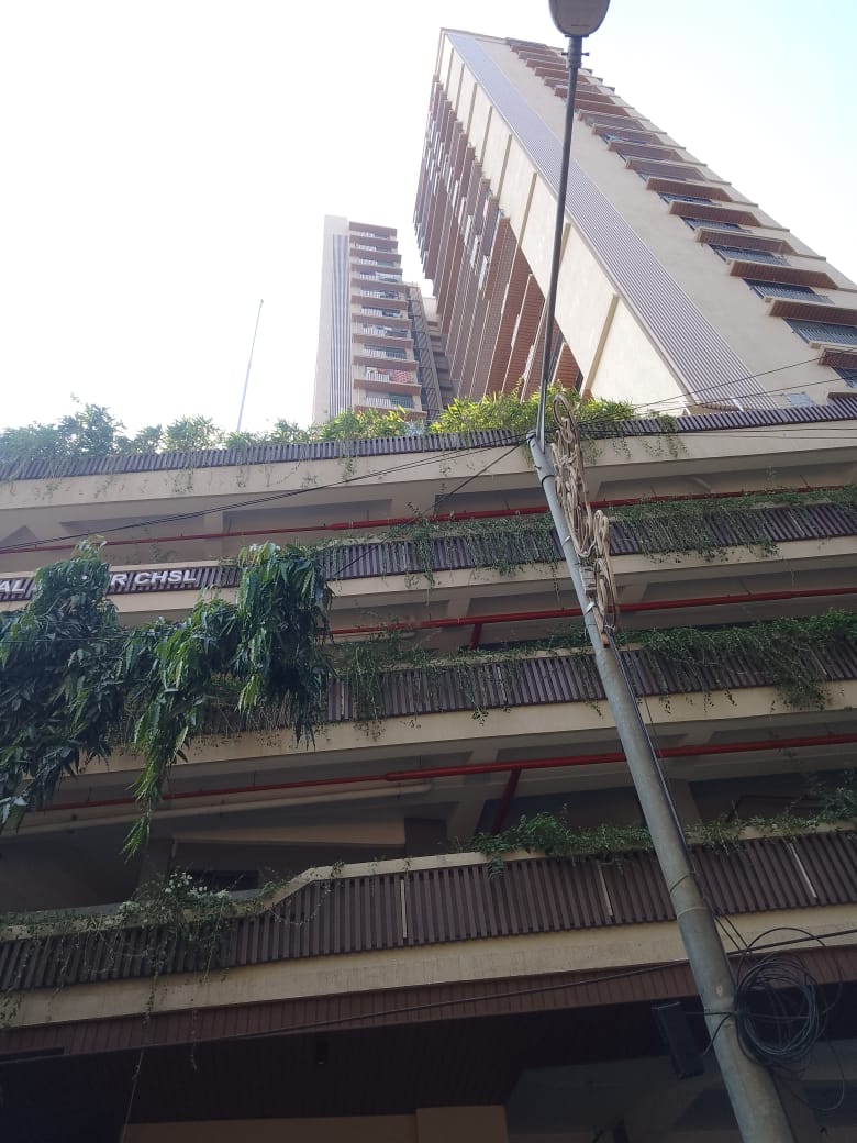 2 BHK Apartment For Rent in Arkade Crown