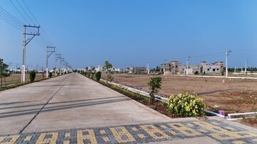 Plot Area in  Plot at Pelluru – for Sale