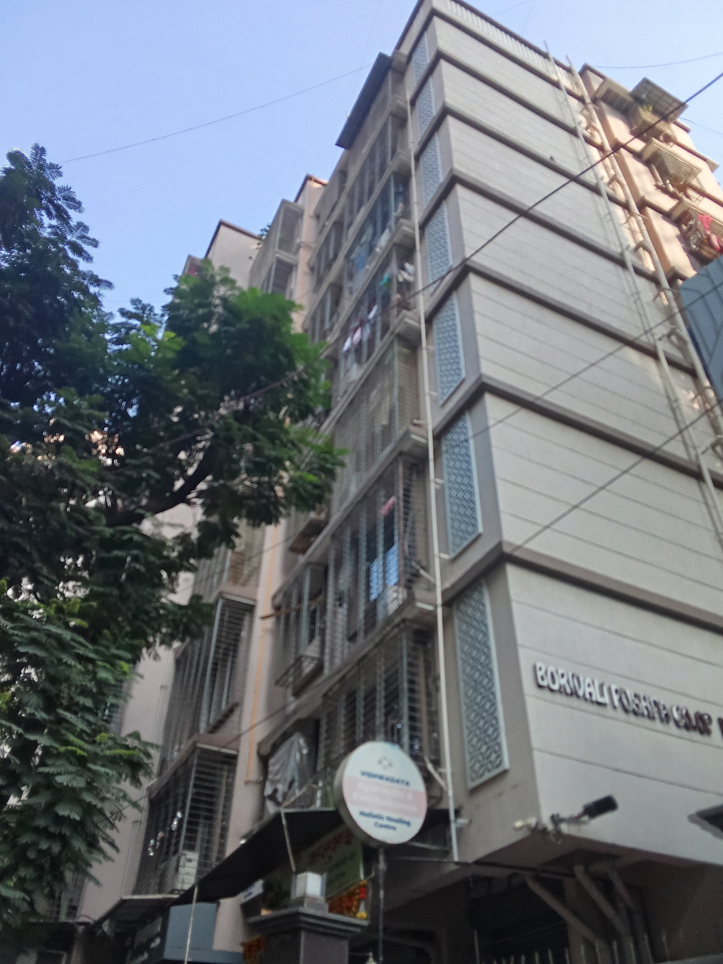 1 BHK Apartment For Rent in Krutishil Borivali Pushpa CHSL