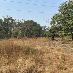 Plot For Sale in Dombivli East