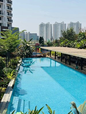 Swimming Pool in 2 BHK Apartment at Godrej Rejuve, Mundhwa – for Rent