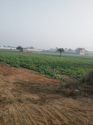 Plot Area in  Land at Pataudi – for Sale