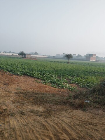 Plot Area in  Land at Pataudi – for Sale
