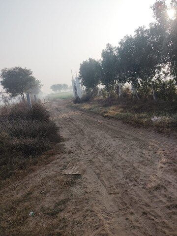 Plot Area in  Land at Pataudi – for Sale