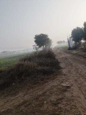  Land For Sale in Pataudi