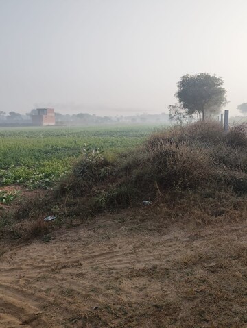 Plot Area in  Land at Pataudi – for Sale