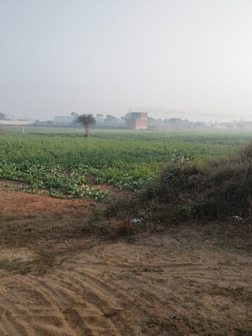 Plot Area in  Land at Pataudi – for Sale