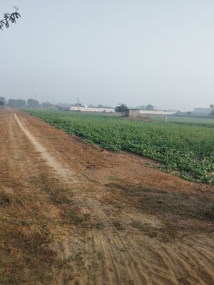 Plot Area in  Land at Pataudi – for Sale