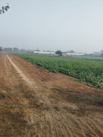 Plot Area in  Land at Pataudi – for Sale