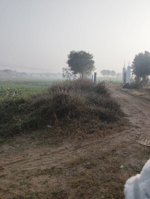 Plot Area in  Land at Pataudi – for Sale