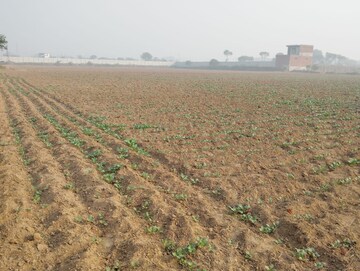 Plot Area in  Land at Pataudi – for Sale