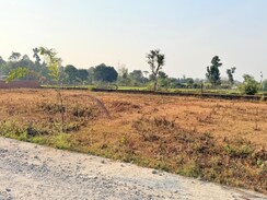 Plot For Sale in Badripur