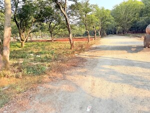  Plot For Sale in Badripur