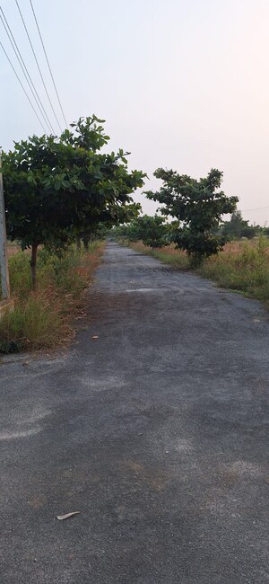 Plot Area in  Plot at Hoskote Malur Road – for Sale