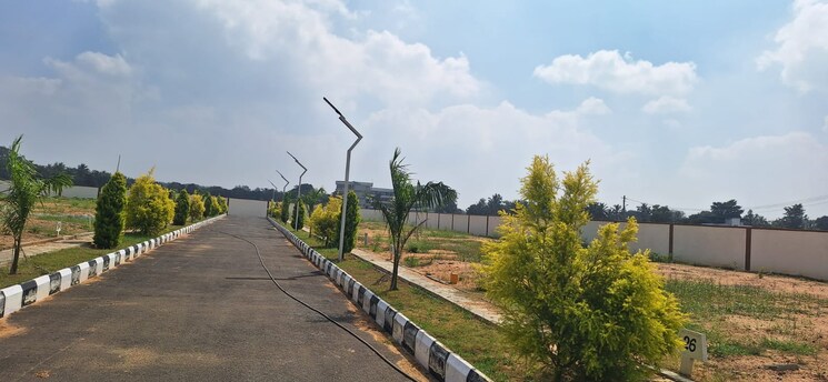 Garden, hoskote malur road  1200 Sq.Ft. Plot In Hoskote Malur Road Bangalore 9654574