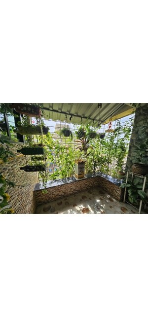 2 BHK Apartment For Sale in Sun Orchid, Ulwe Sector 19