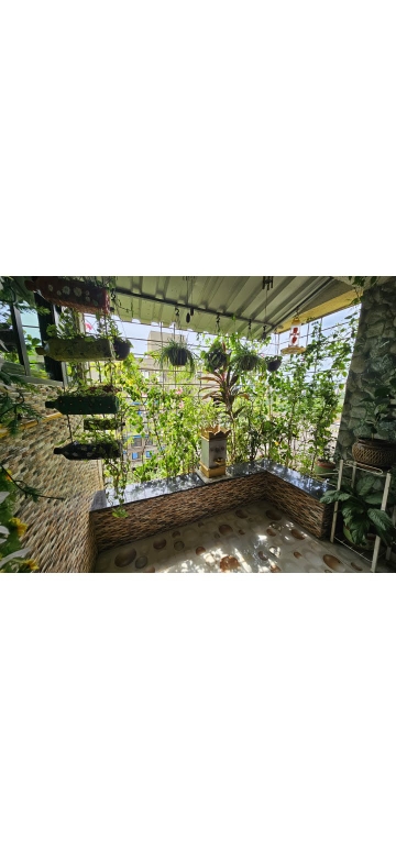 2 BHK Apartment For Sale in Sun Orchid