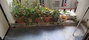 Balcony in 2 BHK Apartment at Globe Heights, Goregaon East – for Rent