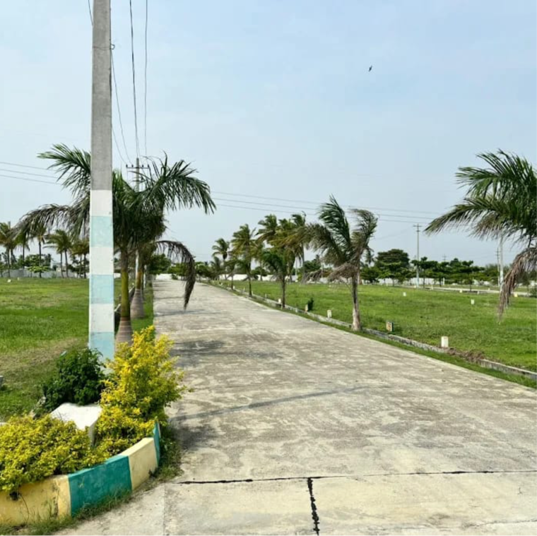 Exterior View, kolar  600 Sq.Yd. Plot In Kolar Bangalore 9654854