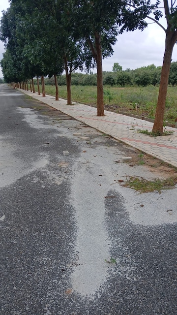  Plot – Exterior View View at Vrunda City, Hoskote - for Sale