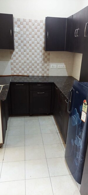 Kitchen in 2 BHK Apartment at Amrapali Silicon City, Sector 76 – for Rent