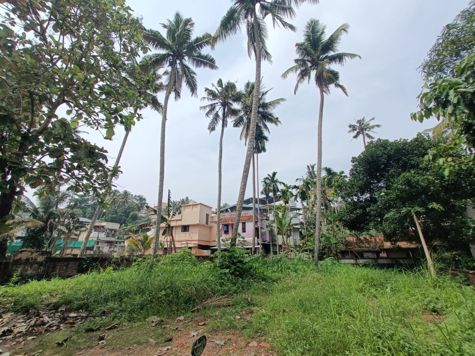 Plot For Sale in Kesavadasapuram