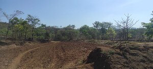 Plot Area in  Land at Velhe – for Sale