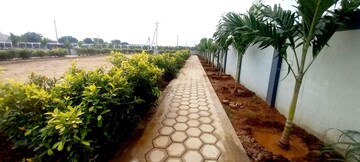 Plot – Exterior View View at Kanchikacherla - for Sale