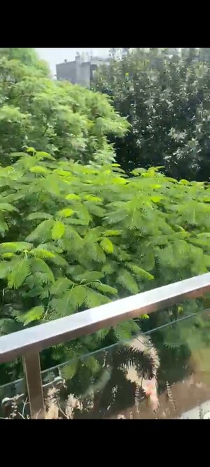 Master Plan in 2 BHK Builder Floor at Unitech Nirvana Country Cedar Crest, Sector 50 – for Rent