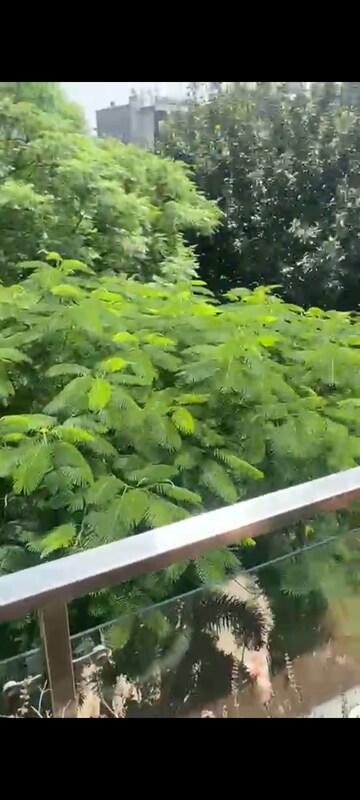 Master Plan in 2 BHK Builder Floor at Unitech Nirvana Country Cedar Crest, Sector 50 – for Rent