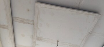 Room in 3.5 BHK Apartment at Shalimar Belvedere Court, Gomti Nagar – for Rent