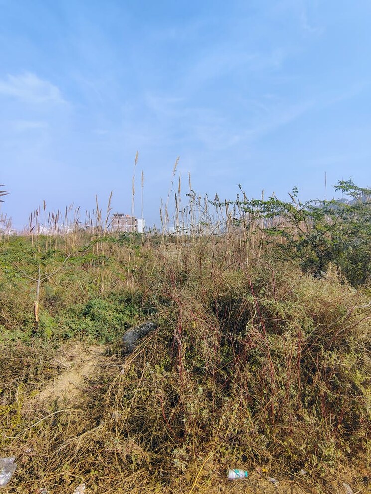 undefined, sector 25  538 Sq.Yd. Plot In SectoR 25 Rohtak 9656206