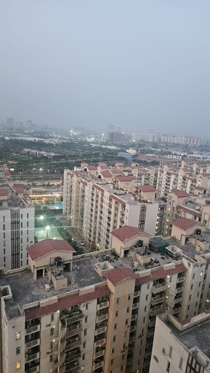 3 BHK Apartment For Sale in Bestech Park View Grand Spa, Sector 81