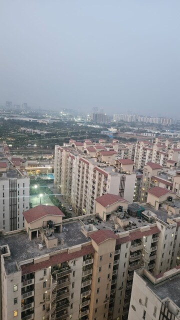 3 BHK Apartment For Sale in Bestech Park View Grand Spa, Sector 81