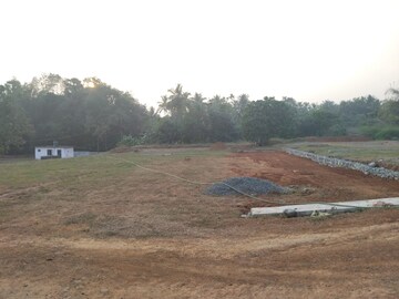 Plot Area in  Plot at Puthuppariyaram – for Sale