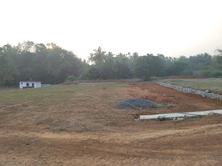 undefined, puthuppariyaram  1740 Sq.Ft. Plot In Puthuppariyaram Palakkad 9656244