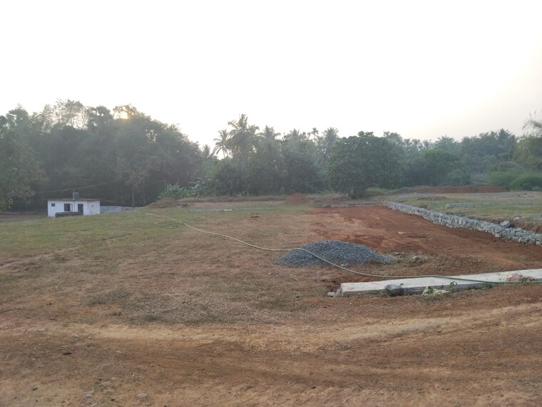 undefined, puthuppariyaram  1740 Sq.Ft. Plot In Puthuppariyaram Palakkad 9656244