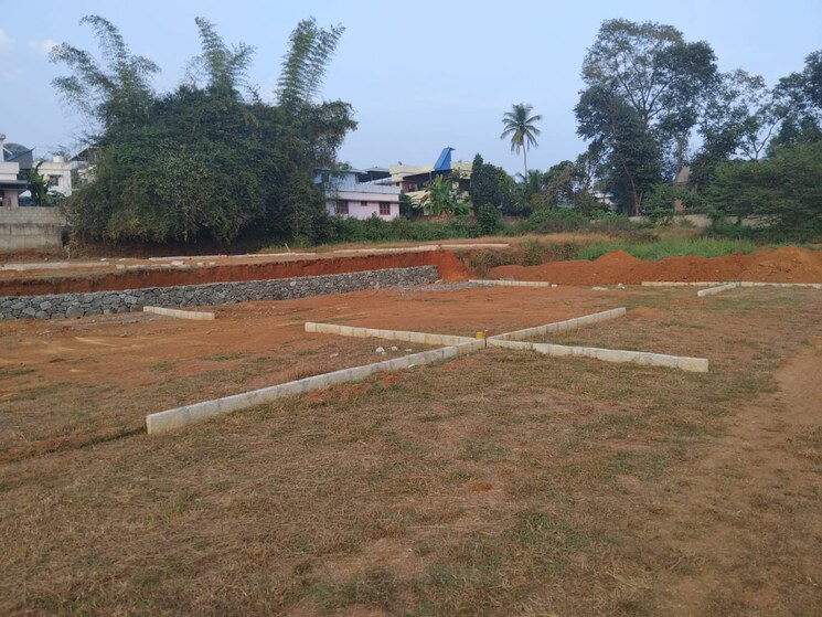 undefined, puthuppariyaram  1740 Sq.Ft. Plot In Puthuppariyaram Palakkad 9656244
