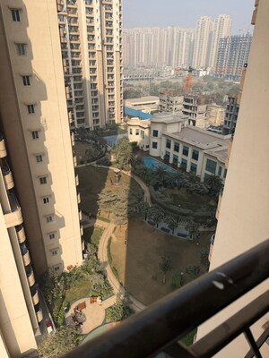 2 BHK Apartment For Rent in Geotech Pristine Avenue, Sector 16c Greater Noida